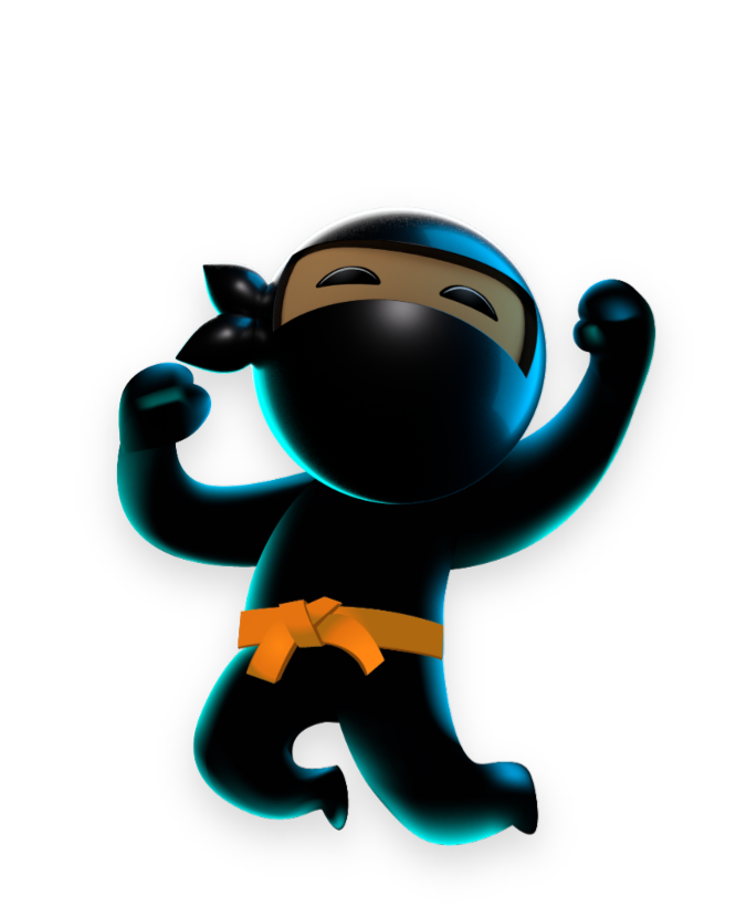 Why Code Ninja Character 1