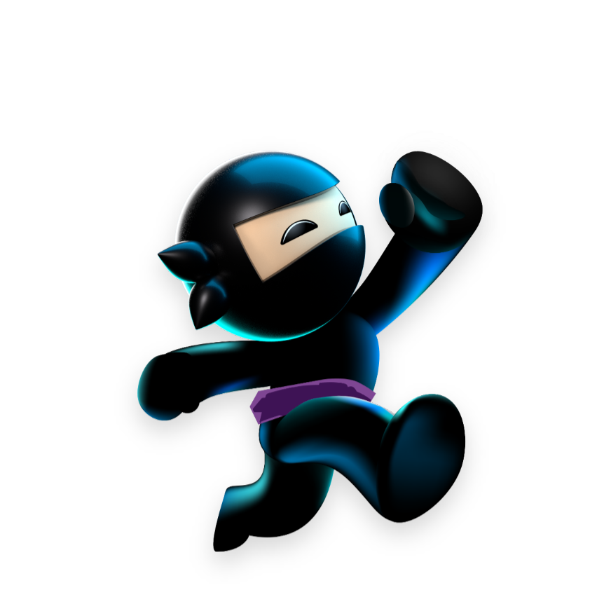 Why Code Ninja Character 2